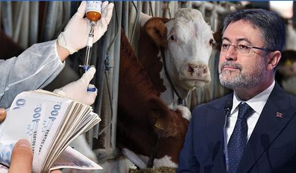 Şap Hastalığında Umut Veren Haber