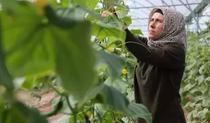 Kadın Girişimci Devlet Desteğiyle Serasında Üretiyor