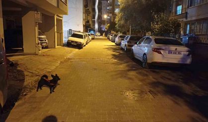 Sındırgı Depremi Aydın’da Paniğe Neden Oldu