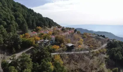 Aydın Paşa Yaylası Sonbaharın Renk Cümbüşüne Büründü