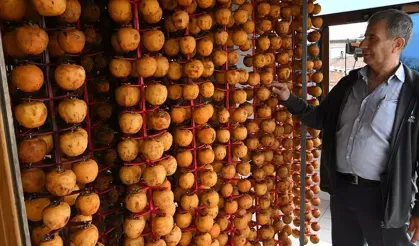 Çanakkaleli Çiftçi Kuruttuğu Hurmayla 2 Kat Kazanıyor