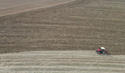 DAMLA DAMLA KRİZ - Trakya'da kuraklık daha az su isteyen ürünleri gündeme getiriyor