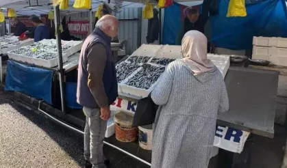 Karadeniz Tezgahlarında Hamsi ve Çeşit Bolluğu Yaşanıyor