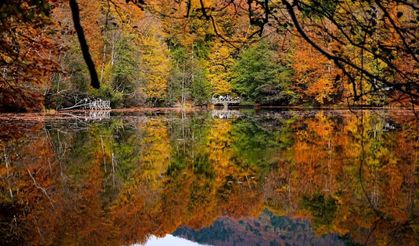 Yedigöller Sonbaharda Renk Cümbüşüyle Büyülüyor