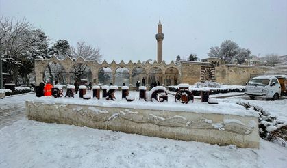 Şanlıurfa'daki tarihi Balıklıgöl beyaza büründü