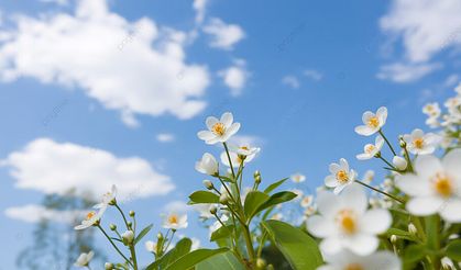 Kış Mevsiminin Bitmesine Kaç Gün Kaldı?