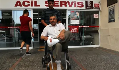 İstanbul’da Acemi Kasap Alarmı 767 kişi hastanelere başvurdu