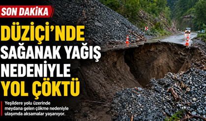 Düziçi'nde Sağanak Yağış Hayatı Olumsuz Etkiledi