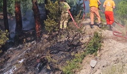 Hatay'da ormanlık alanda çıkan yangın söndürüldü