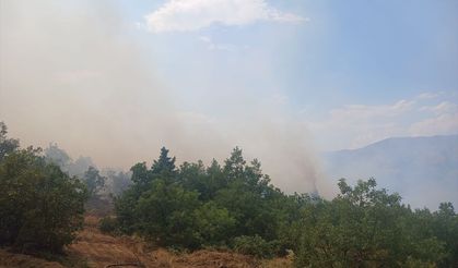Malatya Pütürge'de Orman Yangınına Müdahale Sürüyor