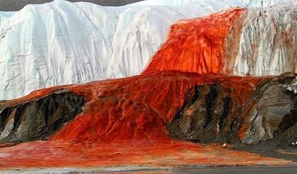 Buzulların Altında Ne Var? Bilim İnsanları Kan Şelalesi'nde Sırrı Çözdü