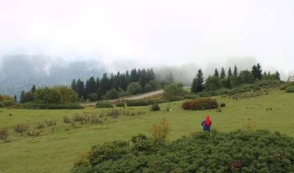 Giresun Kulakkaya Yaylası Doğasıyla  Büyülüyor