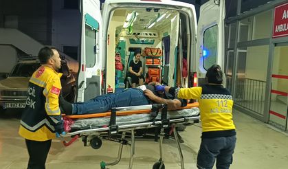 Adana'da park halindeki kamyonete çarpan otomobildeki 2 kişi yaralandı