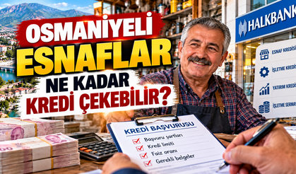 Osmaniyeli Esnaflar Ne Kadar Kredi Çekebilir?
