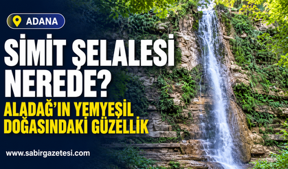 Aladağ'ın Yemyeşil Doğasındaki Güzellik Simit Şelalesi