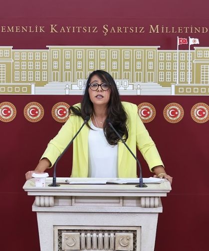 TİP İstanbul Milletvekili Sera Kadıgil’den Polonez İşçilerine Destek