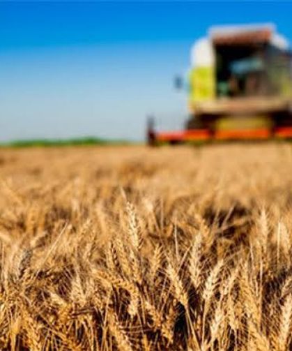 FAO Mayıs Raporunu Açıkladı: Gıda Fiyatları Geriledi