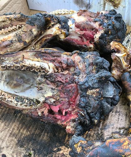Osmaniye'de "Kelle Ütüleme" Geleneği Yaşatılıyor