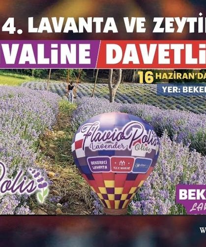 Osmaniyeliler 4. Lavanta Festivali’nde Buluşuyor