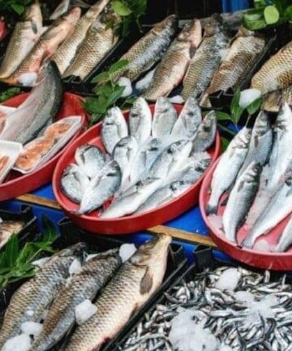Sezon Bitmeden Hangi Balık Yenir? Osmaniye’de Balıkta Nisan Tercihleri