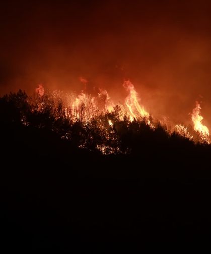 GÜNCELLEME - Hatay'da ormanlık alanda çıkan yangına müdahale ediliyor