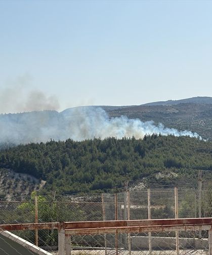 Hatay'da ormanlık alanda yangın çıktı