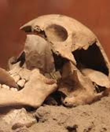 Bin Yıl İçinde İnsan Vücudundan Silinecek 5 Organ!”