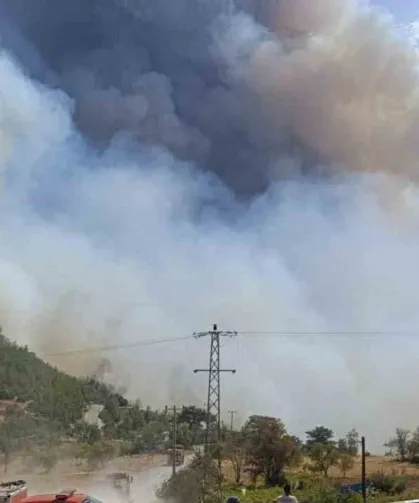 Mersin Silifke’de Orman Yangını