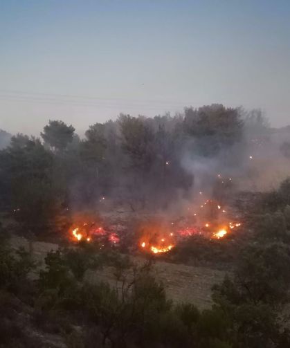 Kocaeli Karamürsel’de Orman Yangını Çıktı