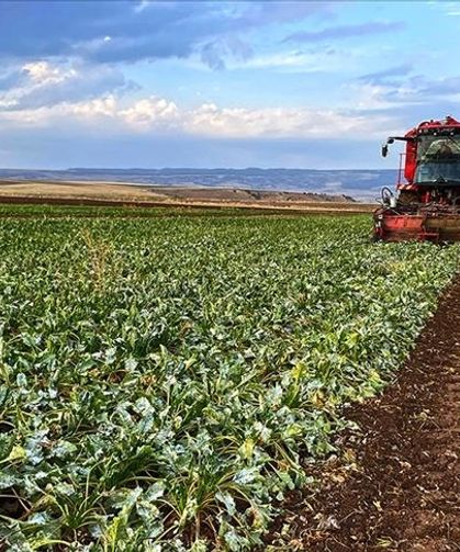 Hatay’da Çiftçiye 11 Milyar TL’lik Dev Tarım Desteği