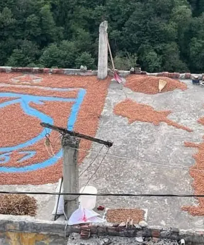 Fındıklarla Bayrak ve Trabzonspor Sevgisi
