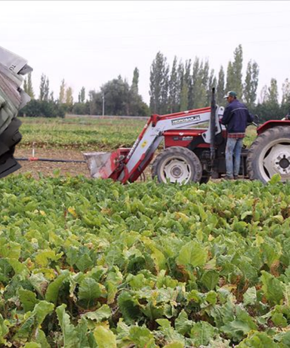 Tarımsal Destek Ödemeleri Başladı!
