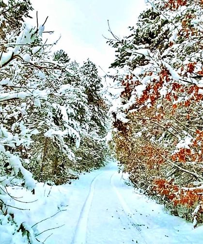 Osmaniye Zorkun Yaylası’nda Keldaz Yolu Hayran Bırakıyor