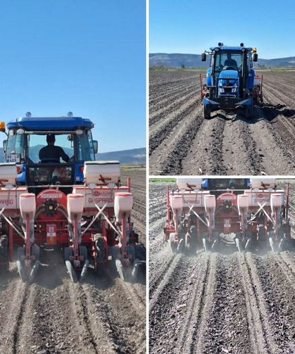 Çukurova’da Mısır Ekimine Başladı