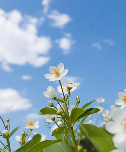 Kış Mevsiminin Bitmesine Kaç Gün Kaldı?