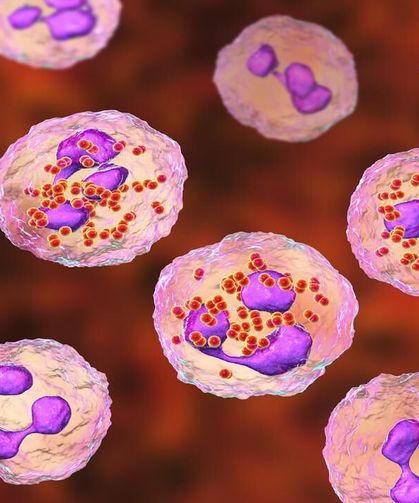 Menenjit Vakaları Arttı mı! Dünya Alarm'da Bebekler ve Gençler İçin Kritik Uyarı