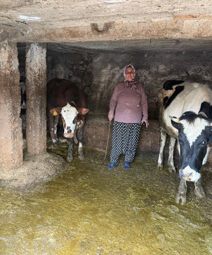 Osmaniye Hasanbeyli’de Kadın Üreticilere Destek