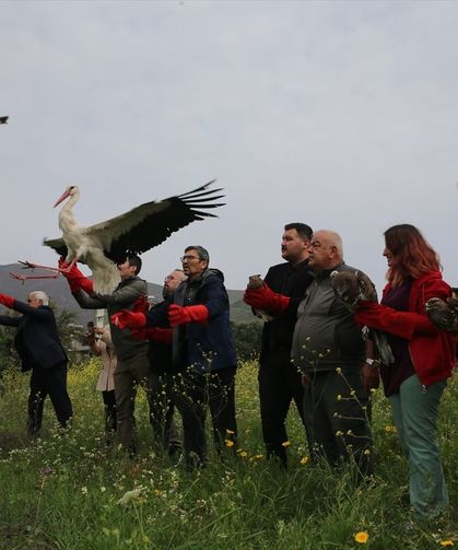 Hatay'da tedavileri tamamlanan kuşlar doğaya salındı