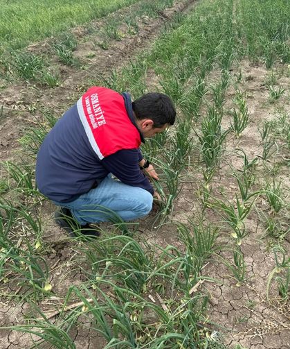 Osmaniye İl Tarım Müdürlüğü Sahada
