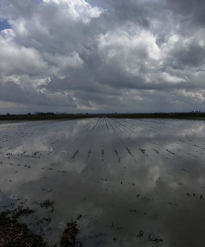 Kadirli’de Tarım Arazilerinde Zarar Tespiti
