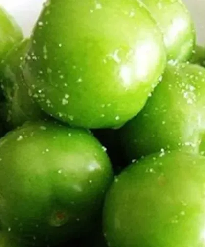 Silifke’de Erik Bereketi  Fiyatları Rekor Kırıyor