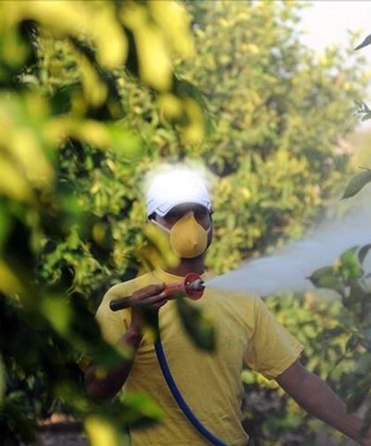 Osmaniye’de Tarımda Yeni Uygulama: