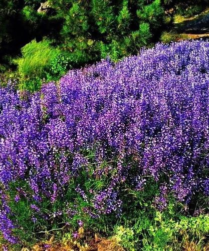 Gavur Dağları’nda Doğa Şöleni