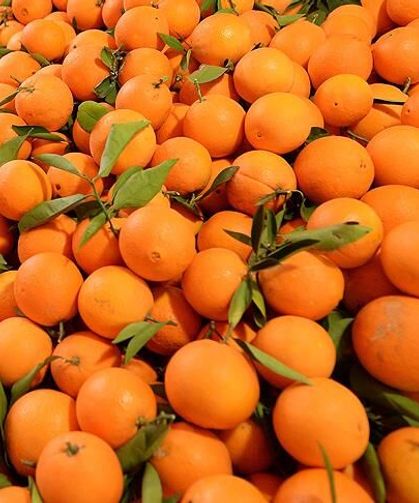 Osmaniye’de Pratik Tatlı Tarifleri