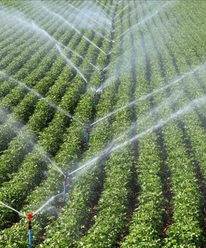 Osmaniyeli Üreticilere Büyük Destek: Sulama Sistemlerine Hibe