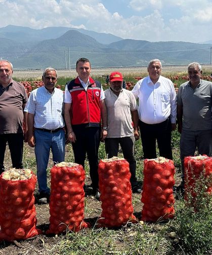 Osmaniye'de Soğan Hasadı Başladı