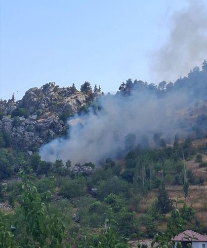 Alanya'da zirai alanda çıkan yangın söndürüldü