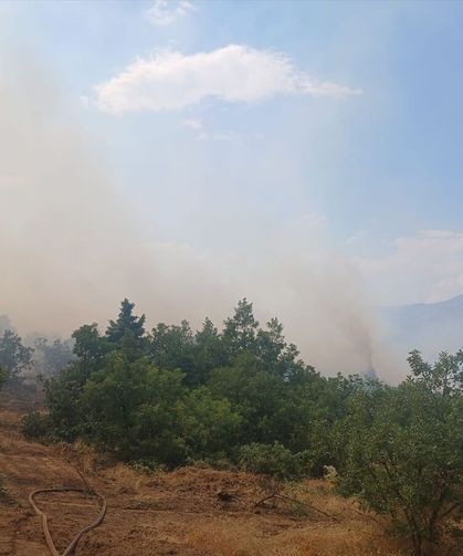 Malatya Pütürge'de Orman Yangınına Müdahale Sürüyor