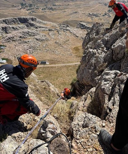 Alanya'da dağda mahsur kalan keçi kurtarıldı