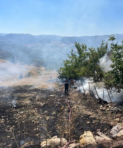 Alanya'da tarım alanında çıkan yangın söndürüldü